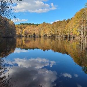 Meet your Posher, Sheena